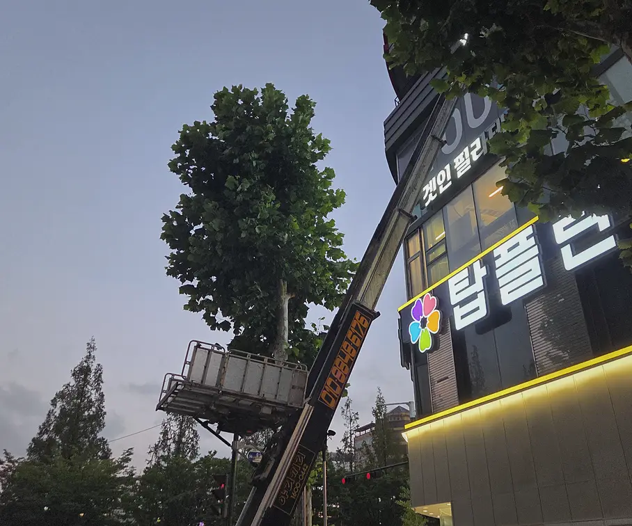 종로구 철거폐목재처리 신속반출 사업장·사무실 폐기물